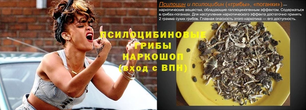 a pvp Алексин