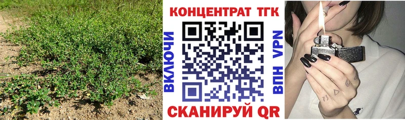 где купить наркотик Аргун ТГК жижа