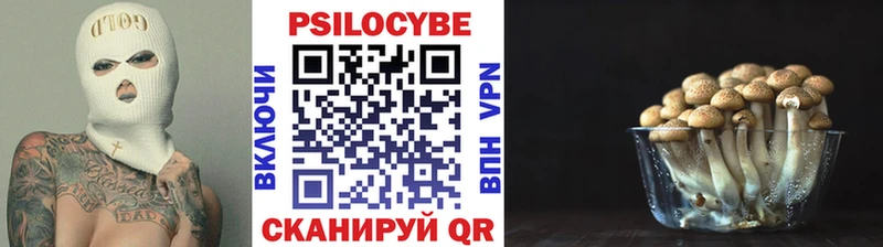 купить наркоту Аргун кракен ссылки Галлюциногенные грибы Magic Shrooms